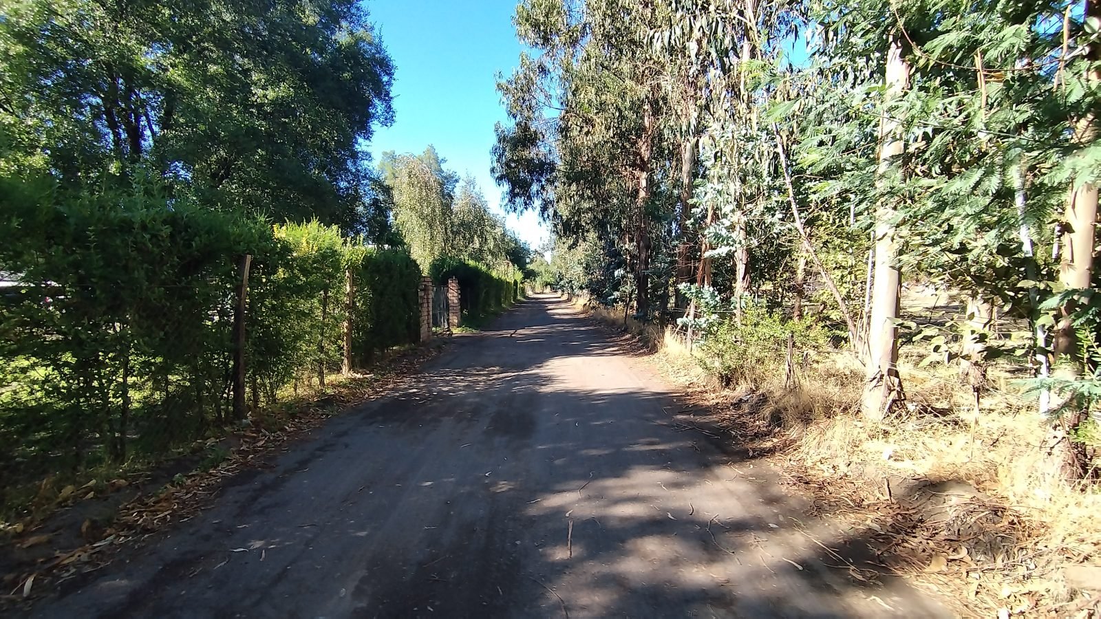 Parcela Lote C Uno, La Higuera – Sector Santa Clara, Los Ángeles
