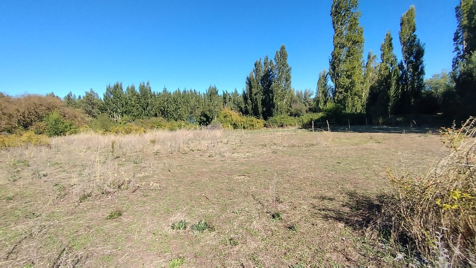 Parcela Lote C Uno, La Higuera – Sector Santa Clara, Los Ángeles